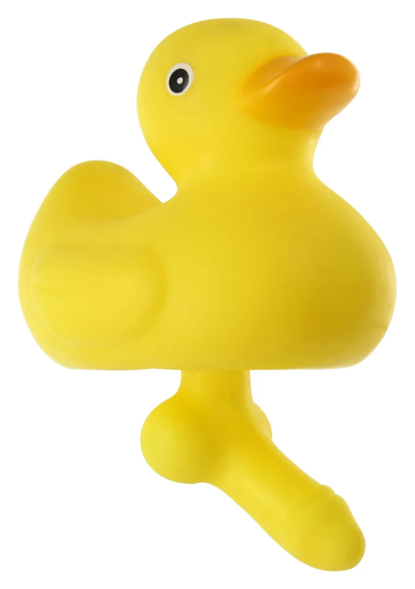 Kačica s vtákom