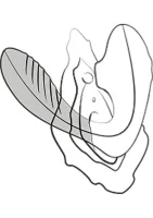 Reverb — obrázok 6