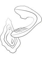 Reverb — obrázok 2