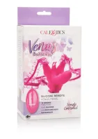 Vzdialený Venušin penis — obrázok 3