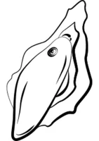 Wave — obrázok 5