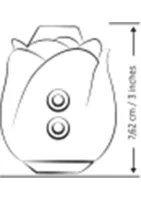 Rose — obrázok 20