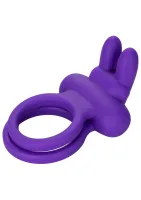 Vylepšovač Rockin' Rabbit — obrázok 2