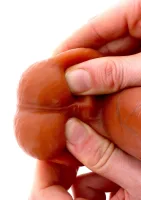 Silikónové dildo predkožky 20 cm — obrázok 2