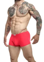Klasický boxer — obrázok 20