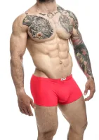Klasický boxer — obrázok 11