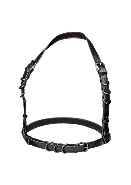 Halter Buckle Harness Plus